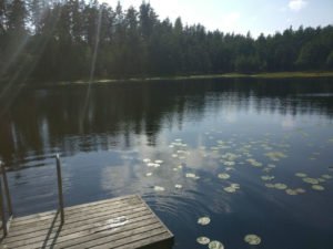 Sinkkutapahtuma Kämmenlammen laavulla