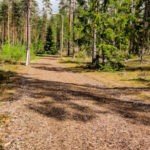 Työikäisten sinkkujen puskapatikka: Koipijärvi ja Kirskaanniemi