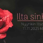 Ilta sinkuille