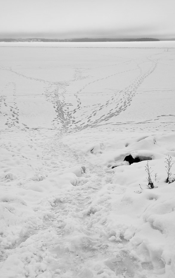 Sinkut jäillä - break the ice