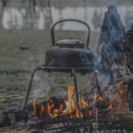 Sinkkujen metsäretki