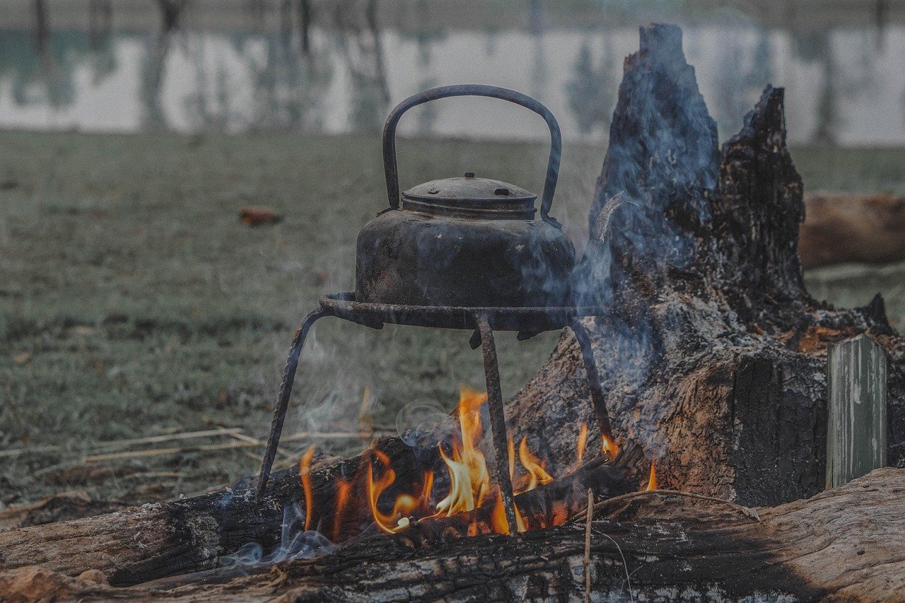 Sinkkujen metsäretki