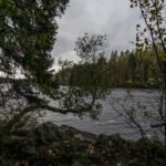 Sinkkujen puskapatikka: Sääksjärvi, Ammejärvi, Kaitajärvi