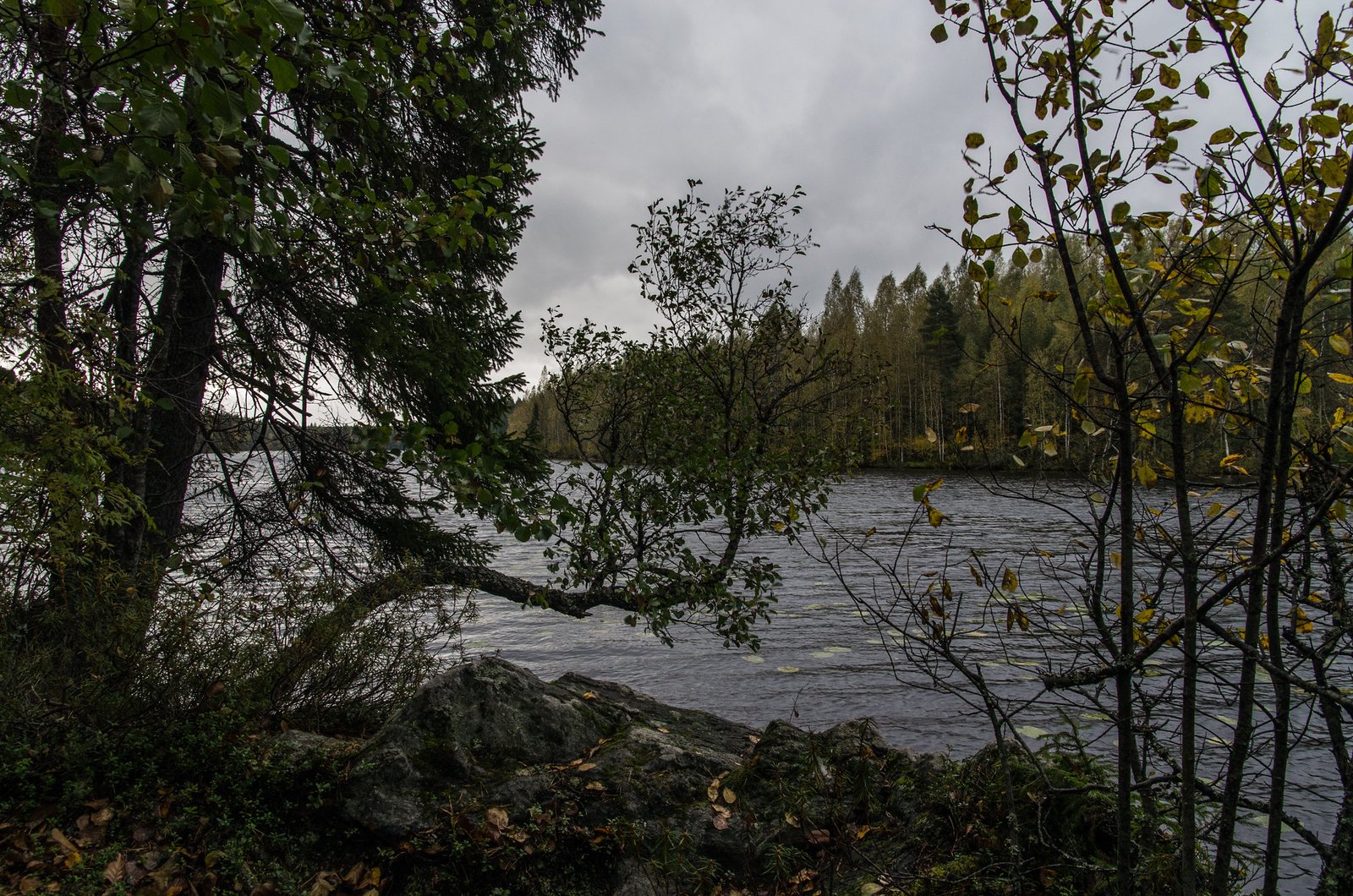 Sinkkujen puskapatikka: Sääksjärvi, Ammejärvi, Kaitajärvi